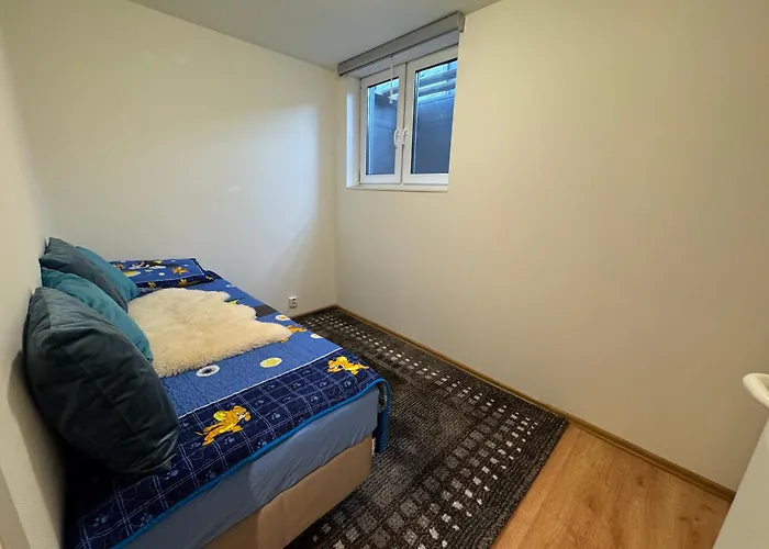 Cozy 公寓 德拉门