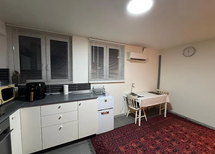 Cozy 公寓 德拉门